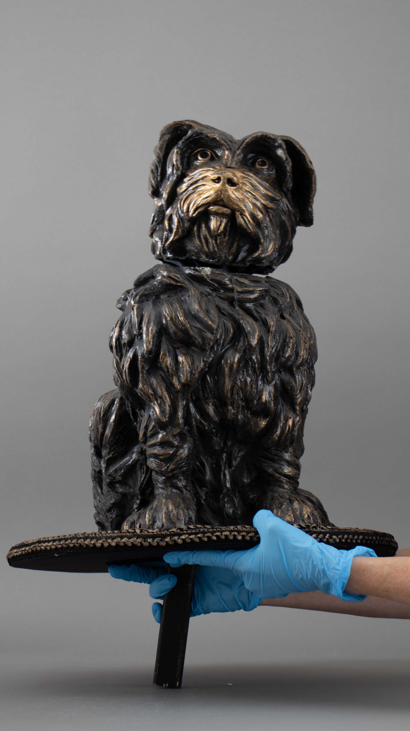 Fibreglass puppet of Greyfriars Bobby being held by a pair of gloved hands