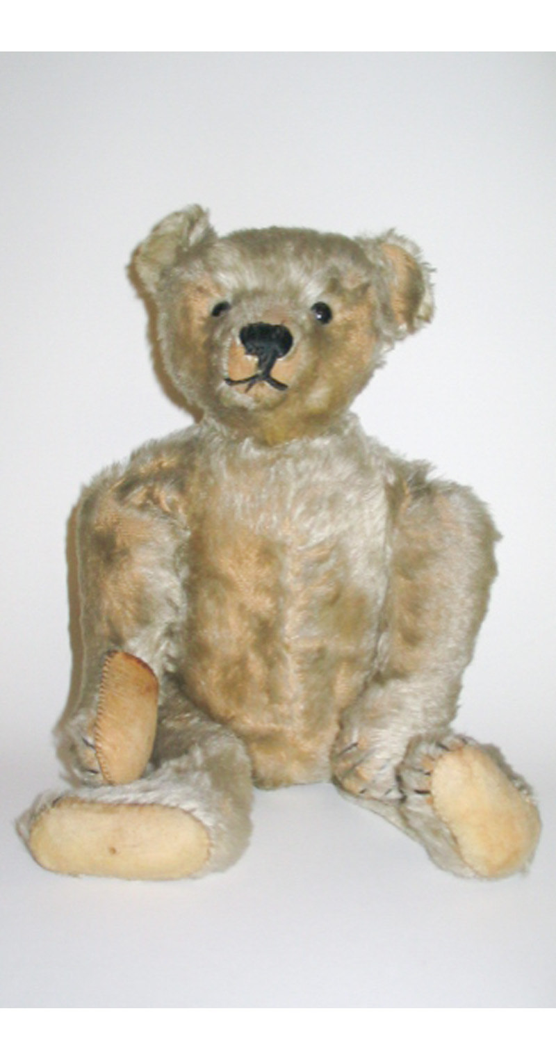 a plush teddy bear sitting down