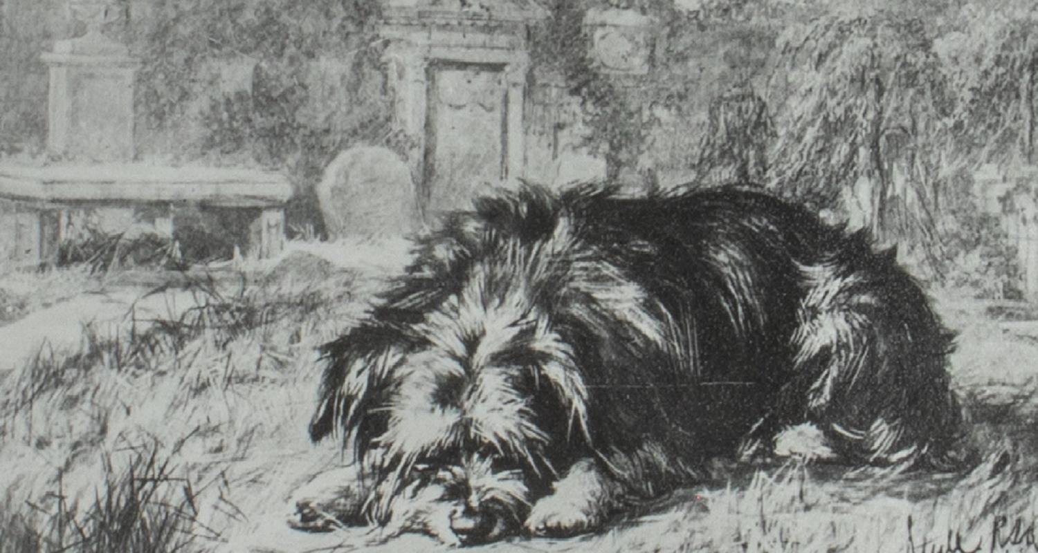 Engraved image of dog lying down