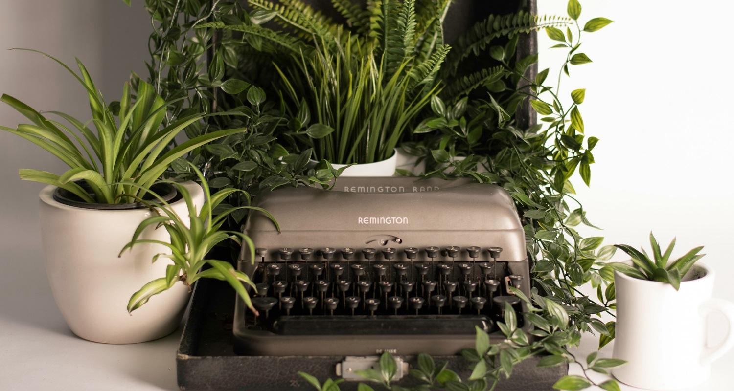 A grey, manual Remington typewriter surrounded by spider plants, ferns and other trailing plants in white plant pots