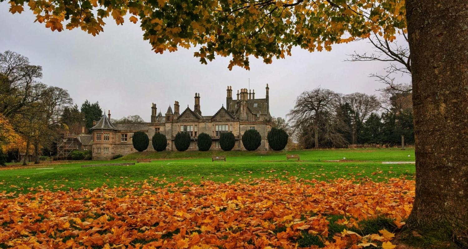 A shot of the exterior of Lauriston across a grassy carpet of autumn leaves