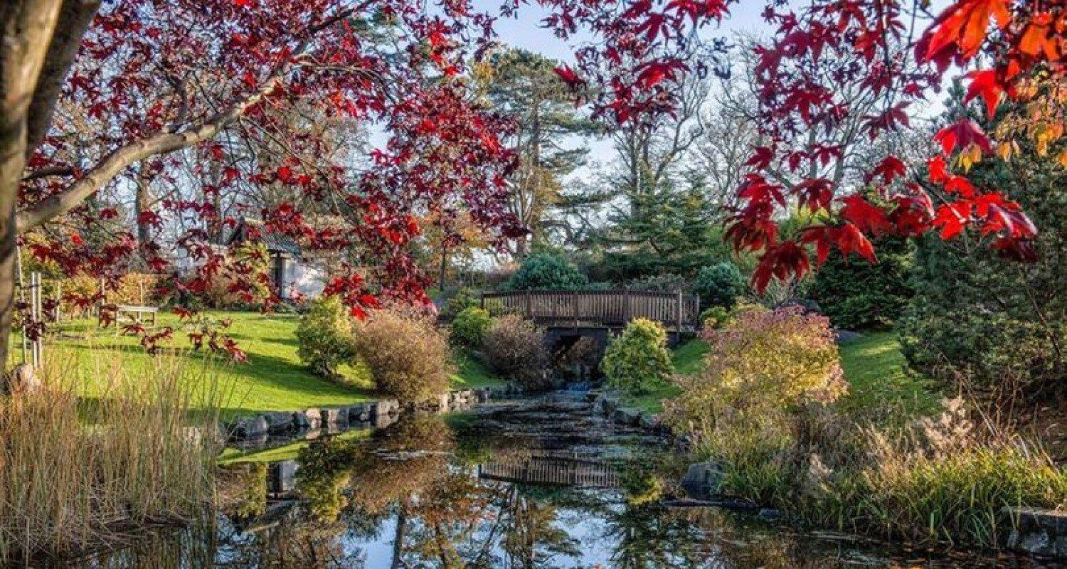 The bridge and stream at Lauriston bordered by autumnal trees