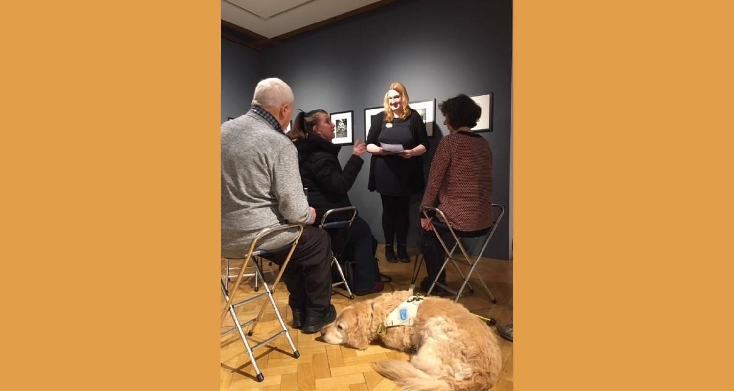 Tessa standing in the City Art Centre in front of black and white photos, with visitors to a Described tour - and a snoozing Golden Retriever