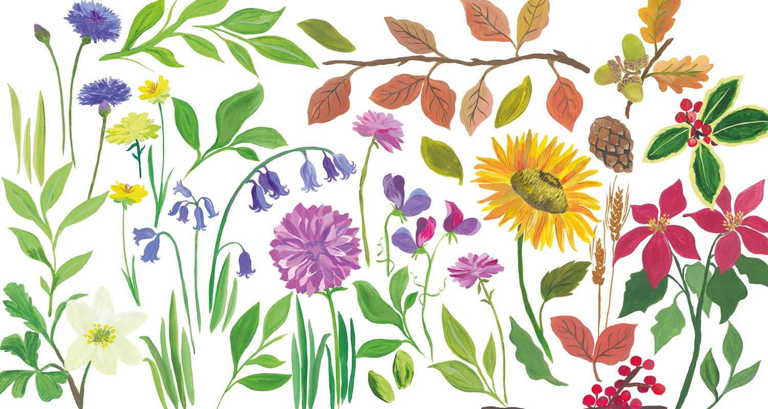 Image of flowers and leaves from different seasons of the year