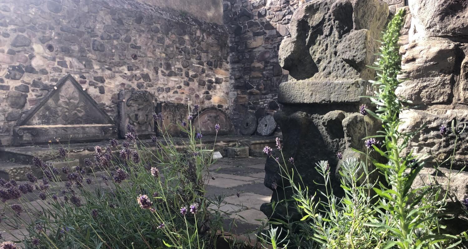 The corner of a 16th century courtyard with plants in the foreground