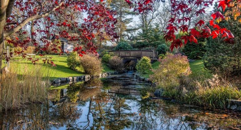 autumn in the Japanese Garden at Lauriston Castle