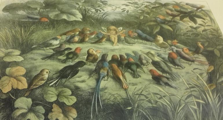 A green-hued painting of birds in a garden gathering in a circle around a small fairy