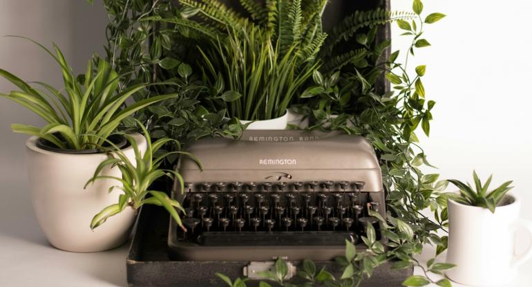 A grey, manual Remington typewriter surrounded by spider plants, ferns and other trailing plants in white plant pots