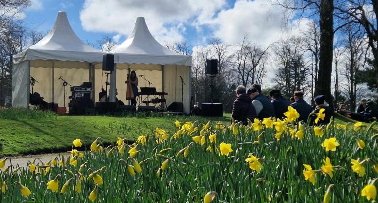 Outdoor tents in which a  band is playing in the Lauriston grounds. A crowd is watching, sitting in front of a cluster of daffodils