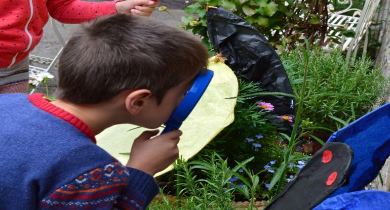 child looking through a magnifying glass at mini-beasts