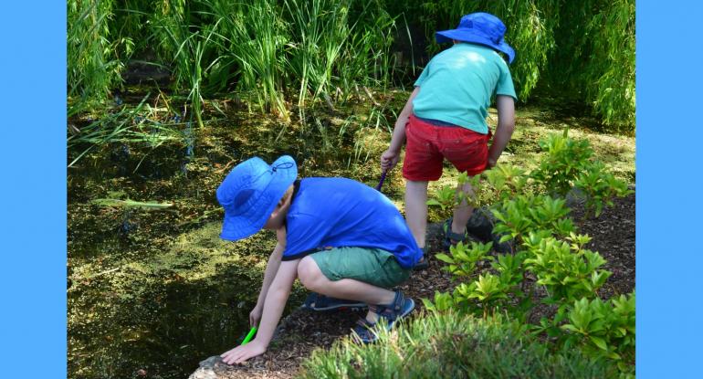 Two boys wearing blue hats, tshirts and shorts, investigating the pond