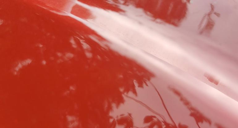 Reflection of trees on a red background - artwork by Renèe Helèna Browne 