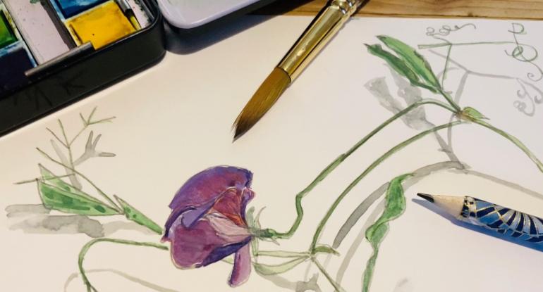 a watercolour of a purple flower, with a paint palette, brush and pencil lying on the paper