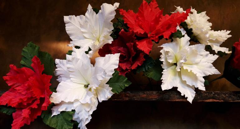 Red and white paper poinsettias