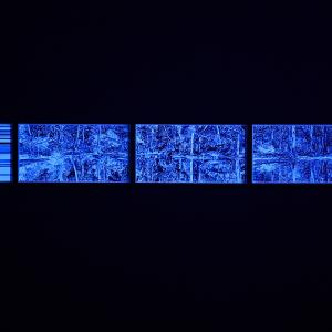 Blue illuminated artwork featuring four distinct images on display at the City Art Centre